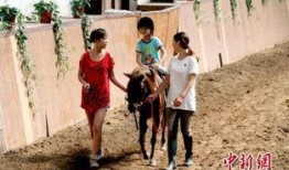 马语者在线观看免费